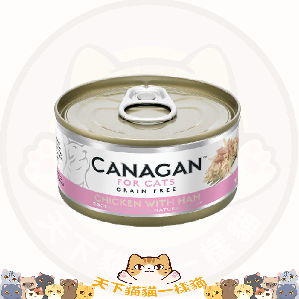 Canagan #03 Chicken with ham 75g 雞肉伴火腿蓉配方