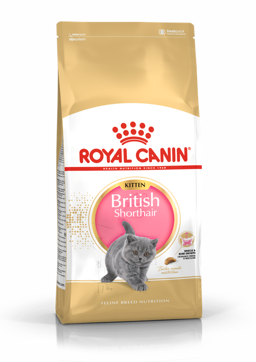 Royal Canin CAT - Feline Breed Nutrition(FBN) British Shorthair Kitten 純種系列 英國短毛幼貓專屬配方10kg (原裝行貨)