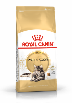 Royal Canin CAT - Feline Breed Nutrition(FBN)  Maine Coon Adult 純種系列 緬因成貓專屬配方10kg(2550100010)(原裝行貨)