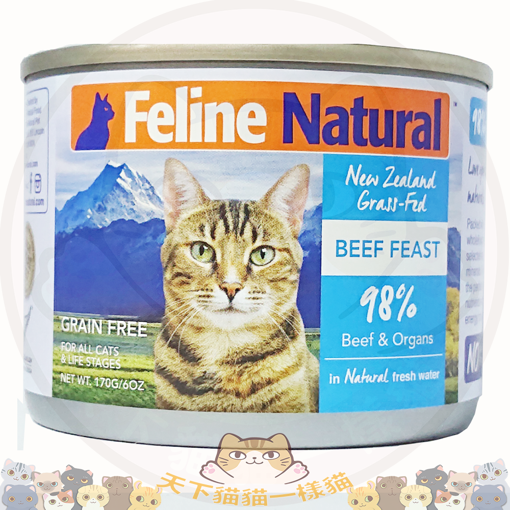 K9 F9 Feline Natural 貓罐頭 - Grass-Fed Beef Feast 牛肉盛宴 170g