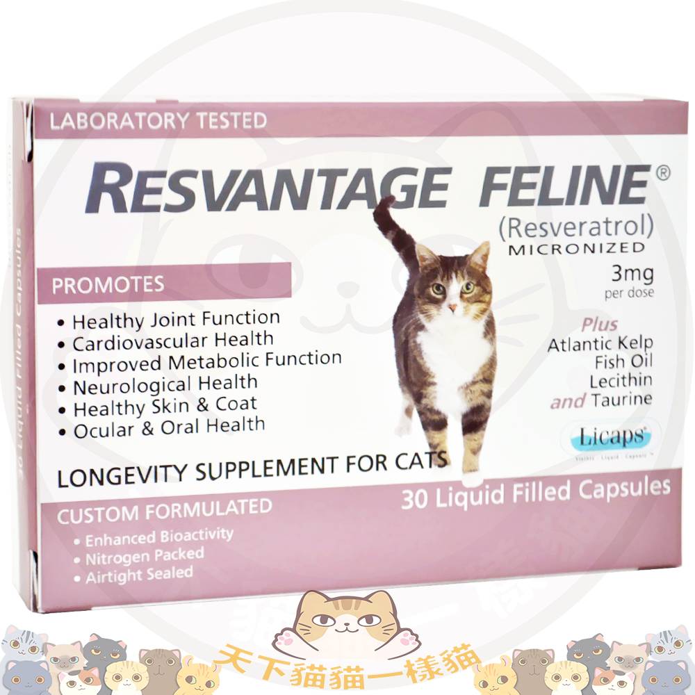 Resvantage® 維蘆醇 白藜蘆醇 (貓用) 30粒