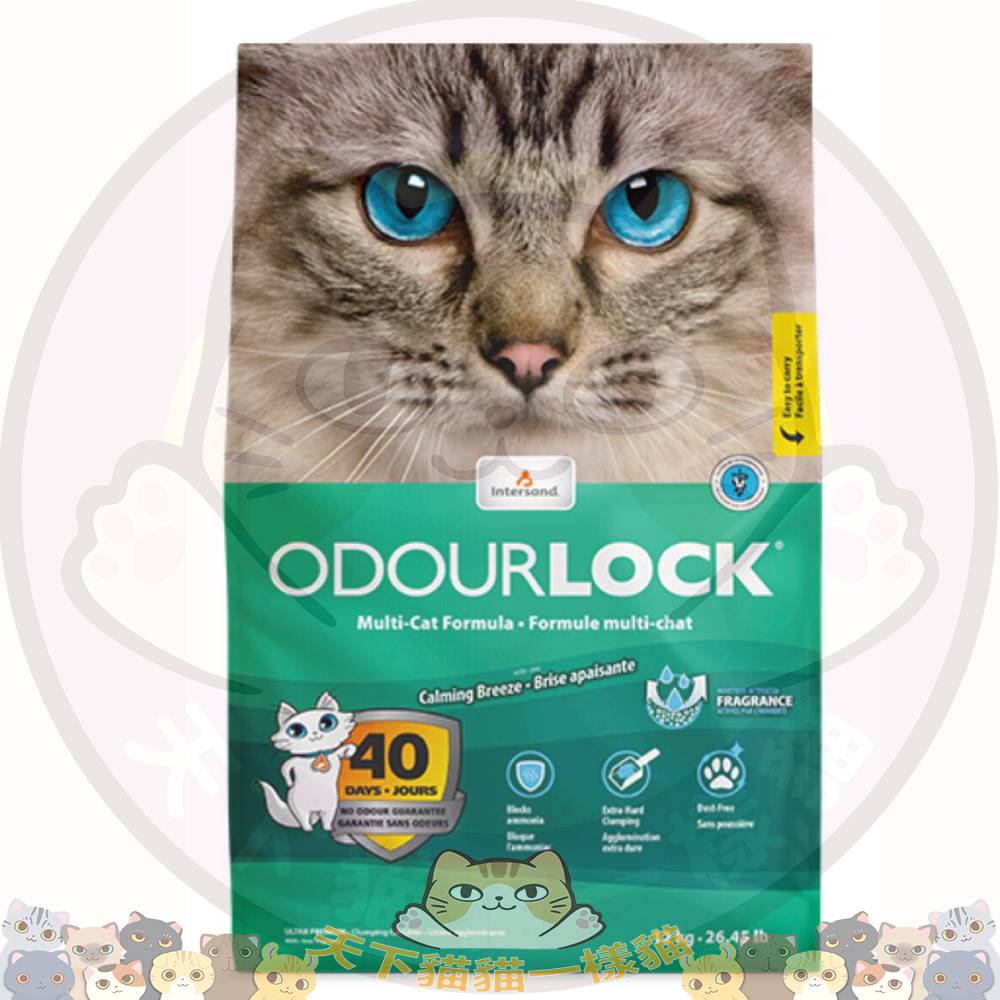  Intersand Odour Lock 12kg 加拿大鎖臭40天無塵礦物砂 (特強除臭) 輕柔淡香檸檬味 12kg【OL綠】