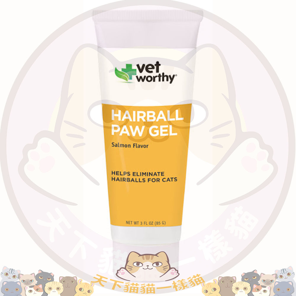 Vet Worthy - Hairball Paw Gel (Salmon Flavor) 美毛化毛膏 (三文魚味) 3oz (85g)