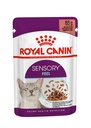 Royal Canin CAT - Feline Health Nutrition (FHN) Sensory [Feel] Gravy 貓感系列 貓感系列 口感營養主食濕糧(肉汁)(3034500)85g X 12 原盒 (原裝行貨)