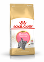 Royal Canin CAT - Feline Breed Nutrition(FBN)  British Shorthair Kitten 純種系列 英國短毛幼貓專屬配方 02kg(原裝行貨)