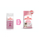 Royal Canin CAT - Feline Health Nutrition (FHN) First Age Mother & Babycat 健康營養系列 離乳貓及母貓營養配方(幼貓mother) 10kg(原裝行貨)