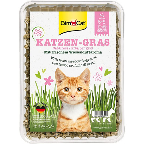 GimCat (粉紅盒) 香味種植貓草 Cat Grass with Meadow Fragrance 150G (Katzen-Gras) 