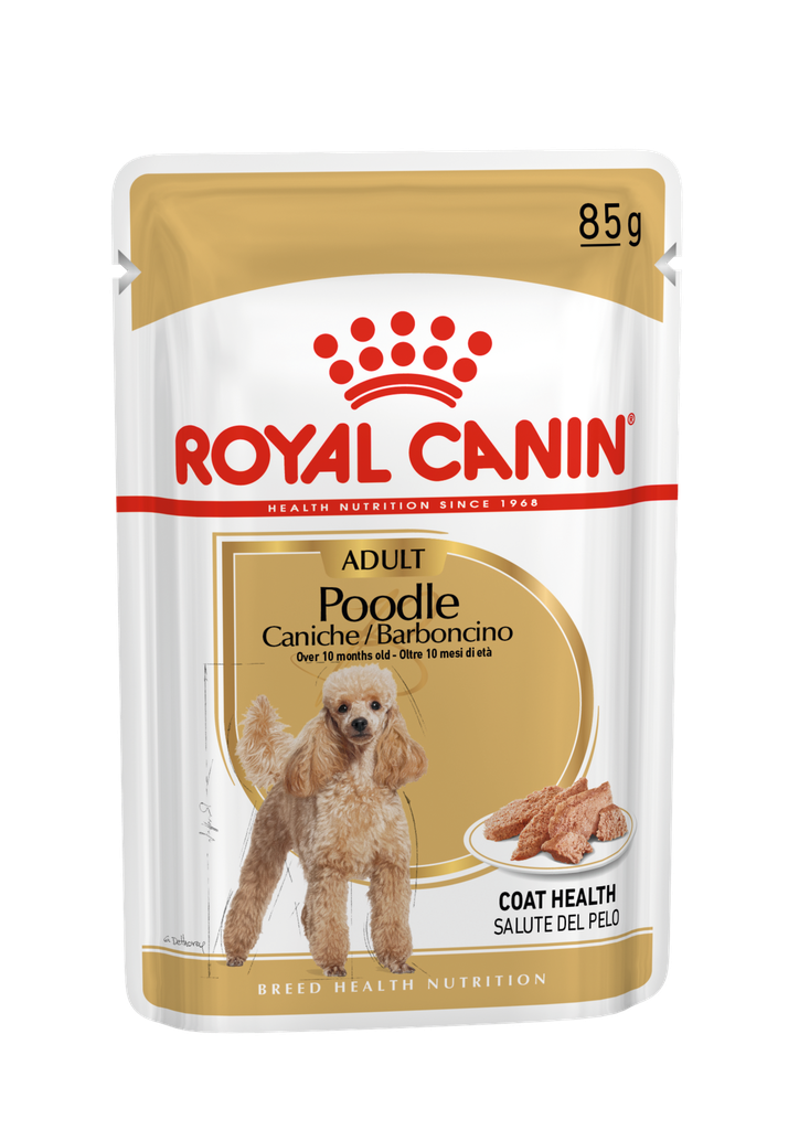 Royal Canin -  Breed 純種系列 Poodle Adult Dog (Loaf) 85GX12 貴婦狗成犬專屬主食濕糧 (肉塊) 85克x12[訂貨需時2-3天] (原裝行貨)