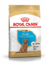 Royal Canin - Breed 純種系列 Poodle Puppy 3KG 貴婦狗幼犬專屬配方3公斤[訂貨需時2-3天](原裝行貨)