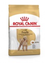 Royal Canin -  Breed 純種系列 Poodle Adult Dog 3KG 貴婦狗成犬專屬配方3公斤[訂貨需時2-3天](原裝行貨)