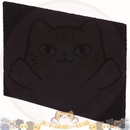 [ZX] AeraMax_PT65Filter_carbon (黑色濾網)] AeraMax (黑色濾網) [活性碳過濾網 X2 (1盒2片)] (PT65寵物專用空氣淨化機專用)
